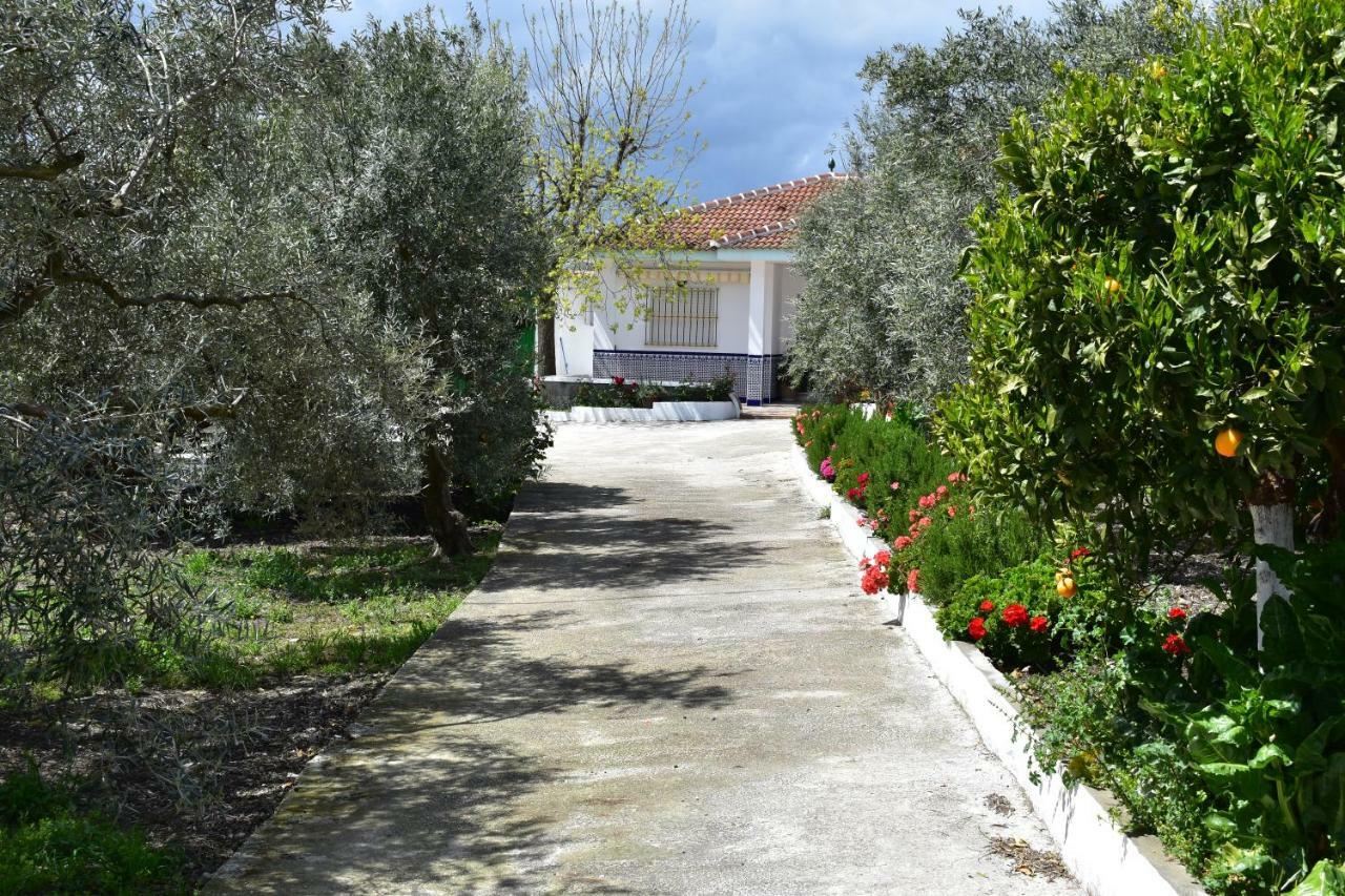 Alejo Casa di campagna *